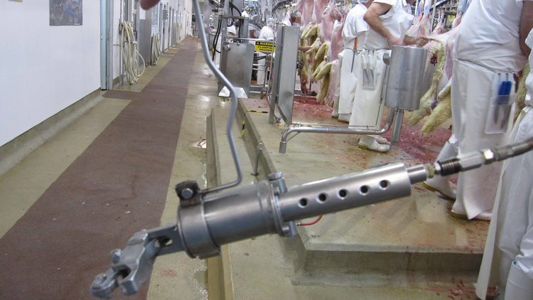 Pizzel Crushers for Sheep and Lambs