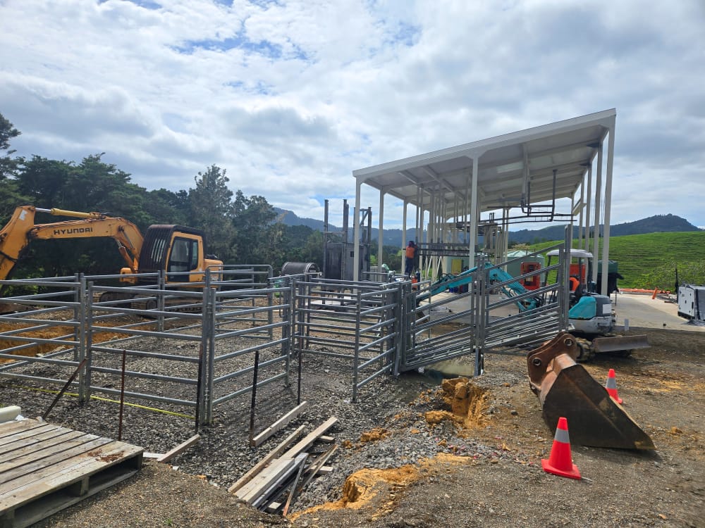 More Construction Photos of the Northland Abattoir